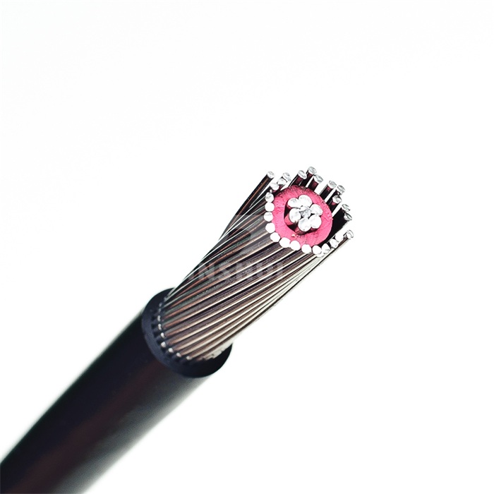 concentric cable